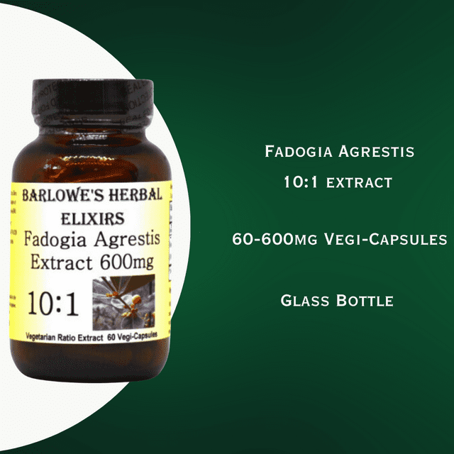 Fadogia Agrestis Extract 10:1 - 60 600mg Vegicaps - Stearate Free, Bottled in Glass