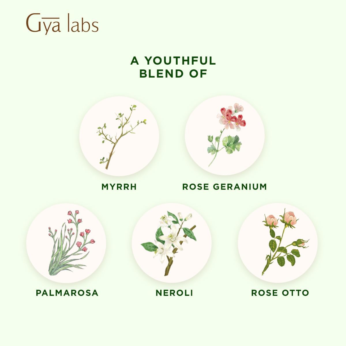 Gya Labs Age Defying Essential Oil Blend