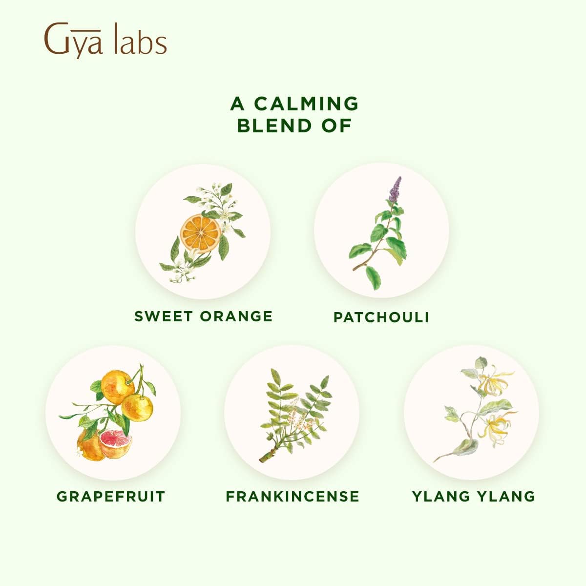 Gya Labs Peace Essential Oil Blend (10ml) - Sweet, Soothing Scent