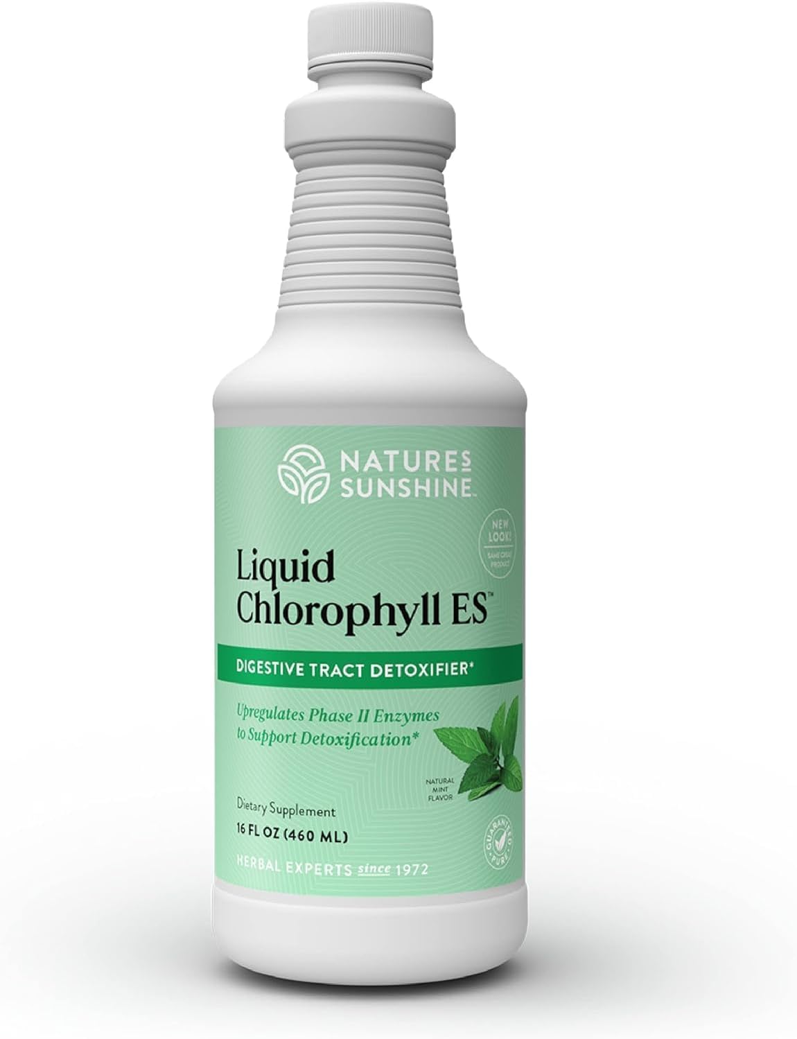 Nature's Sunshine Liquid Chlorophyll Extra Strength - 16 Fl Oz