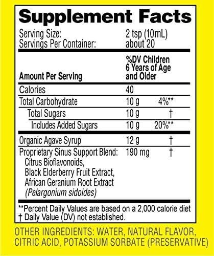 Zarbee's Children's Sinus & Respiratory Support Liquid