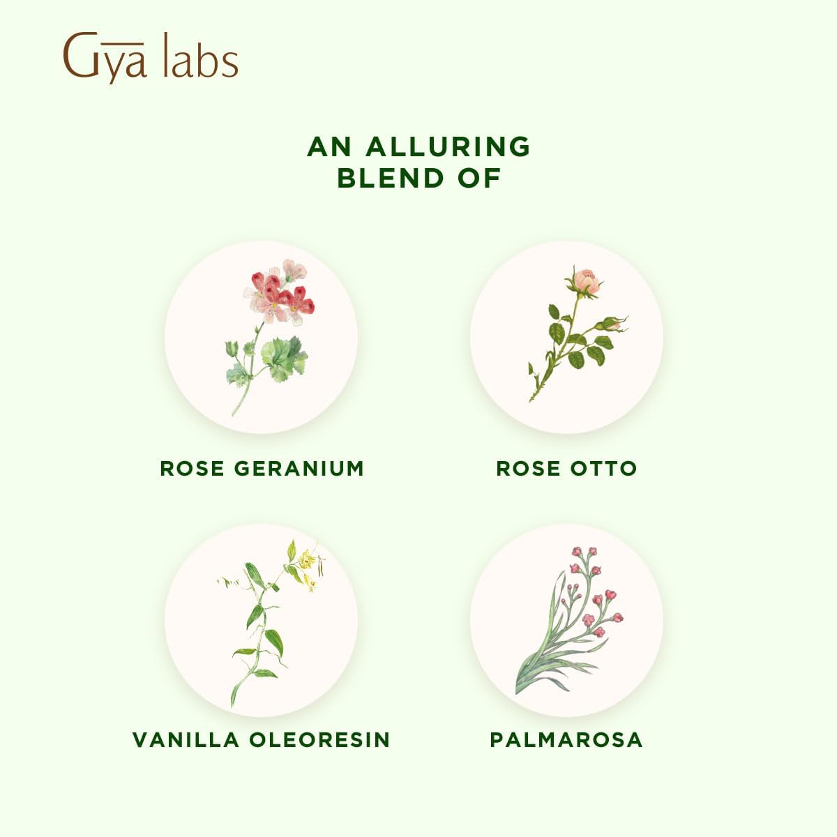 Gya Labs True Romance Essential Oil Blend - Sweet & Floral Scent