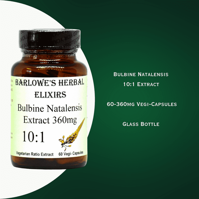 Bulbine Natalensis 10:1 Extract  360mg 60 VegiCaps