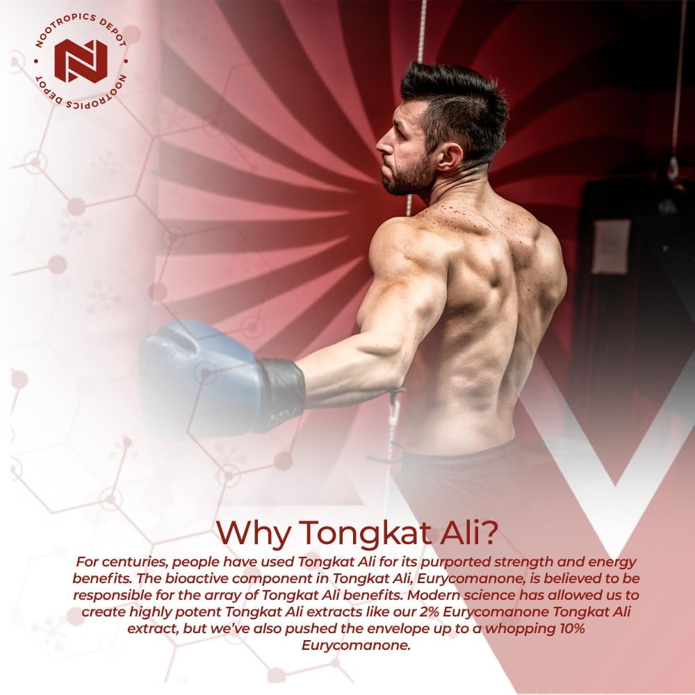 Nootropics Depot Tongkat Ali Extract  60 Capsules