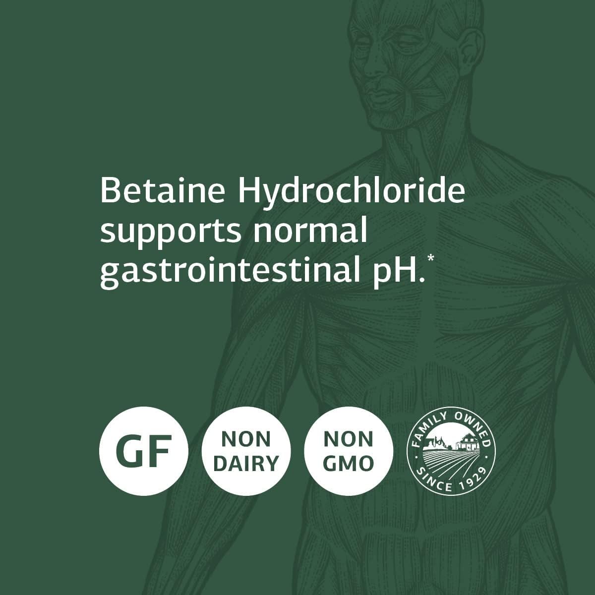 Standard Process Betaine Hydrochloride -180 Tablets