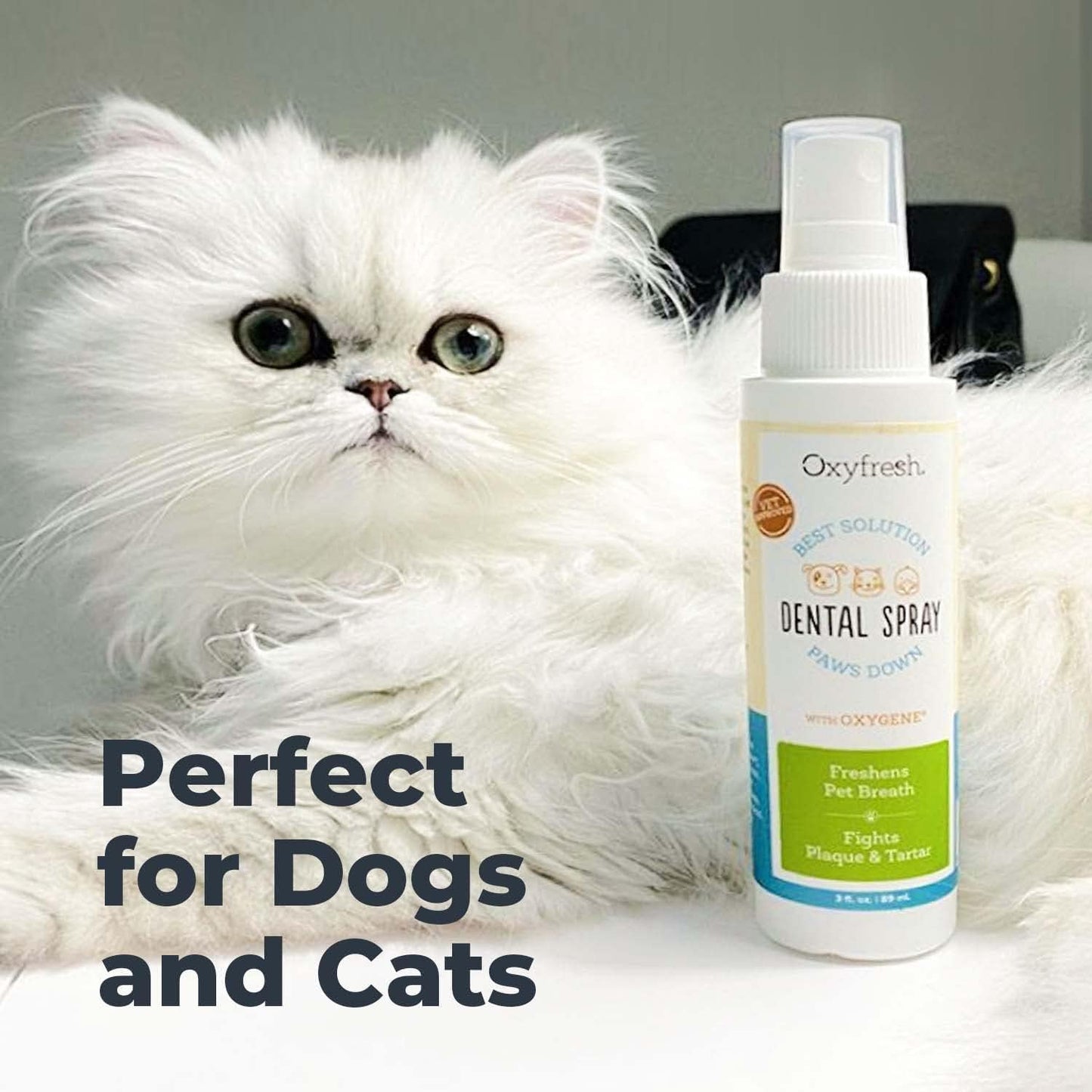 Oxyfresh Advanced Pet Dental Spray – Instant Pet Fresh Breath 3oz.