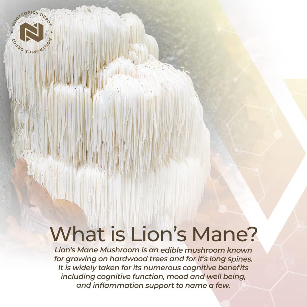 Nootropics Depot Lions Mane Mushroom  60 Capsules