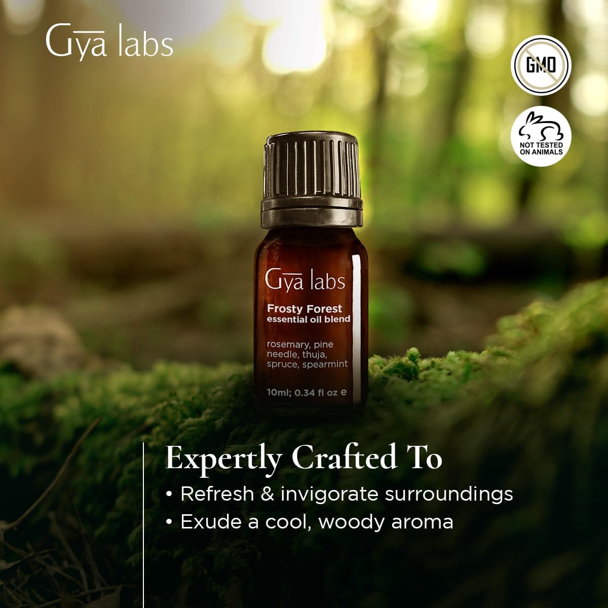 Gya Labs Frosty Forest Essential Oil Blend