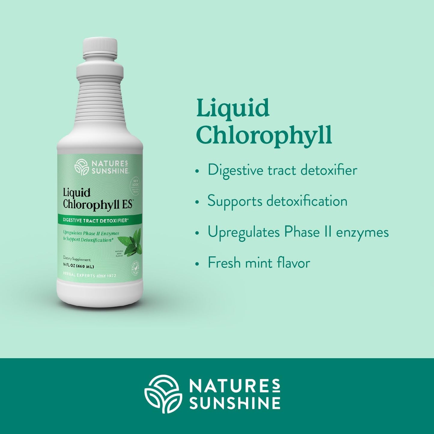 Nature's Sunshine Liquid Chlorophyll Extra Strength - 16 Fl Oz