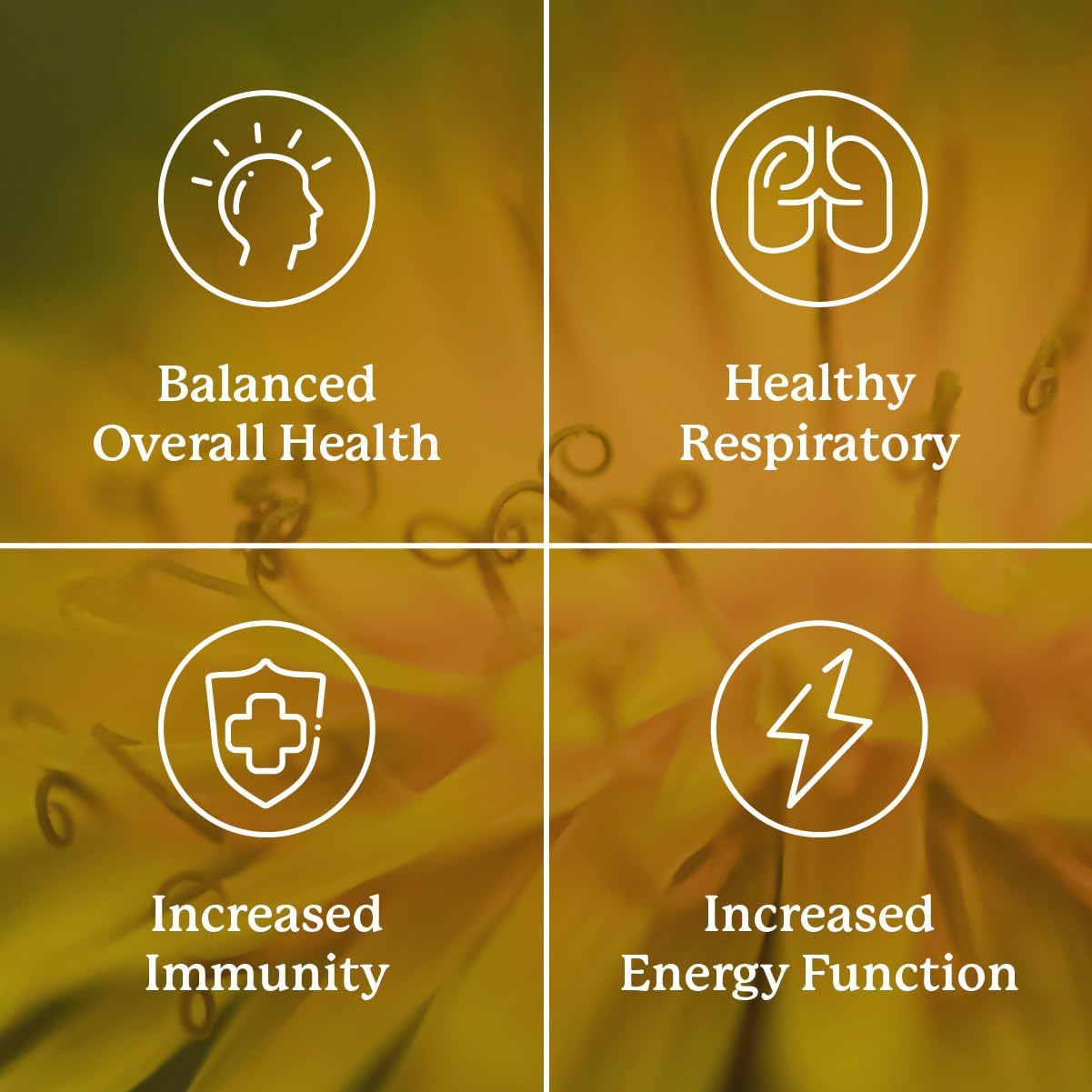 Nature's Sunshine VS-C TCM Concentrate 30 Capsules