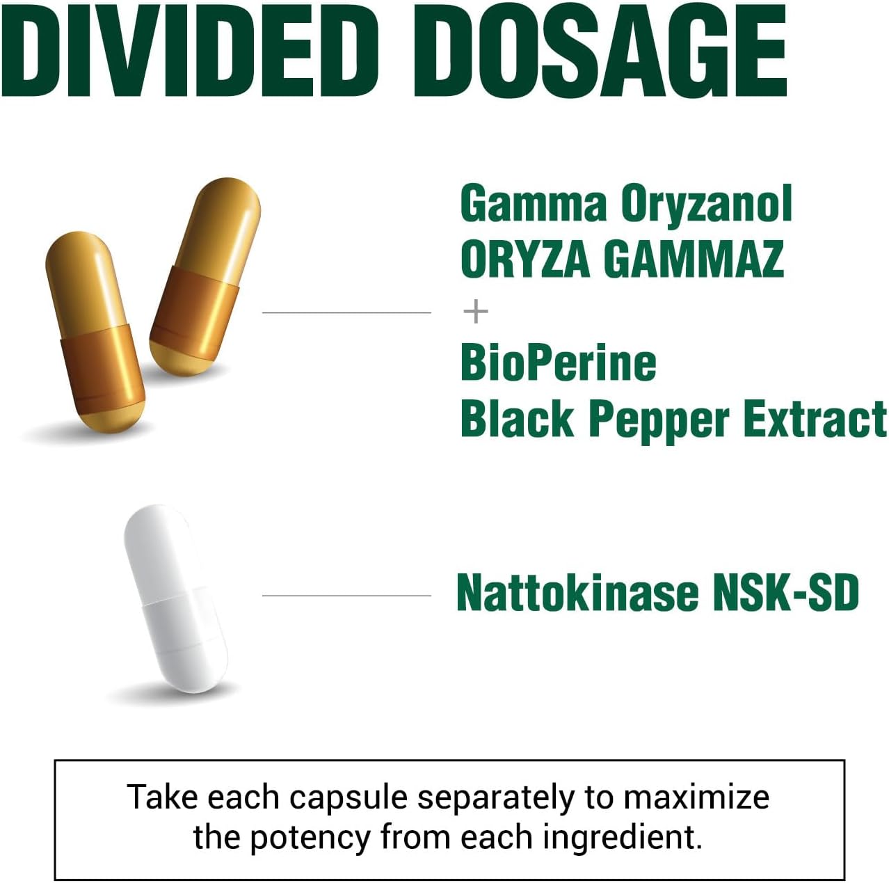 LABO Nutrition VesseCLEAR CX: Nattokinase NSK-SD + Gamma Oryzanol