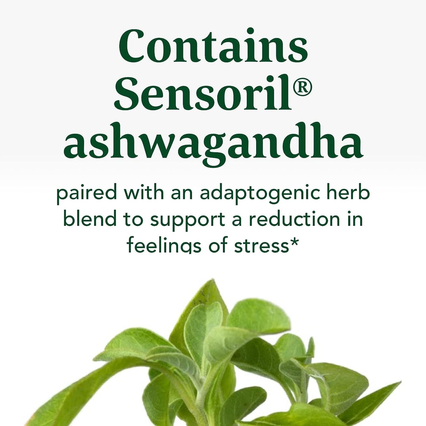 MegaFood Stress Protect with Ashwagandha & Herb Blend 60 Tabs