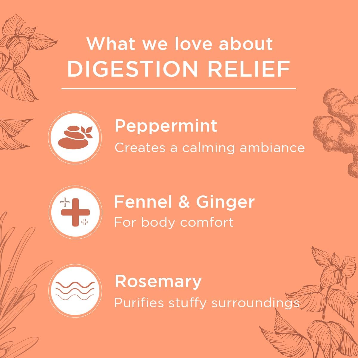 Gya Labs Digestion Relief Essential Oil Roll On - Fresh, Earthy Scent