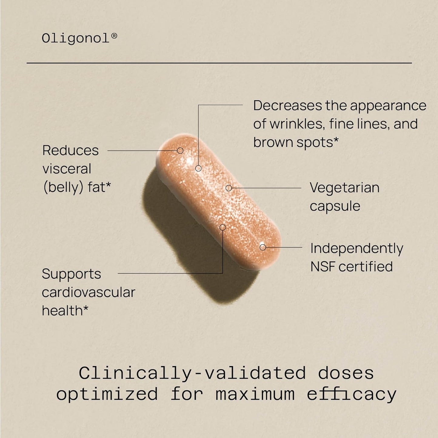 Quality of Life - Premium Anti Aging Supplement- Promotes Cardiovascular Health, Circulation & Youth - Oligonol  - 30 Vegicaps