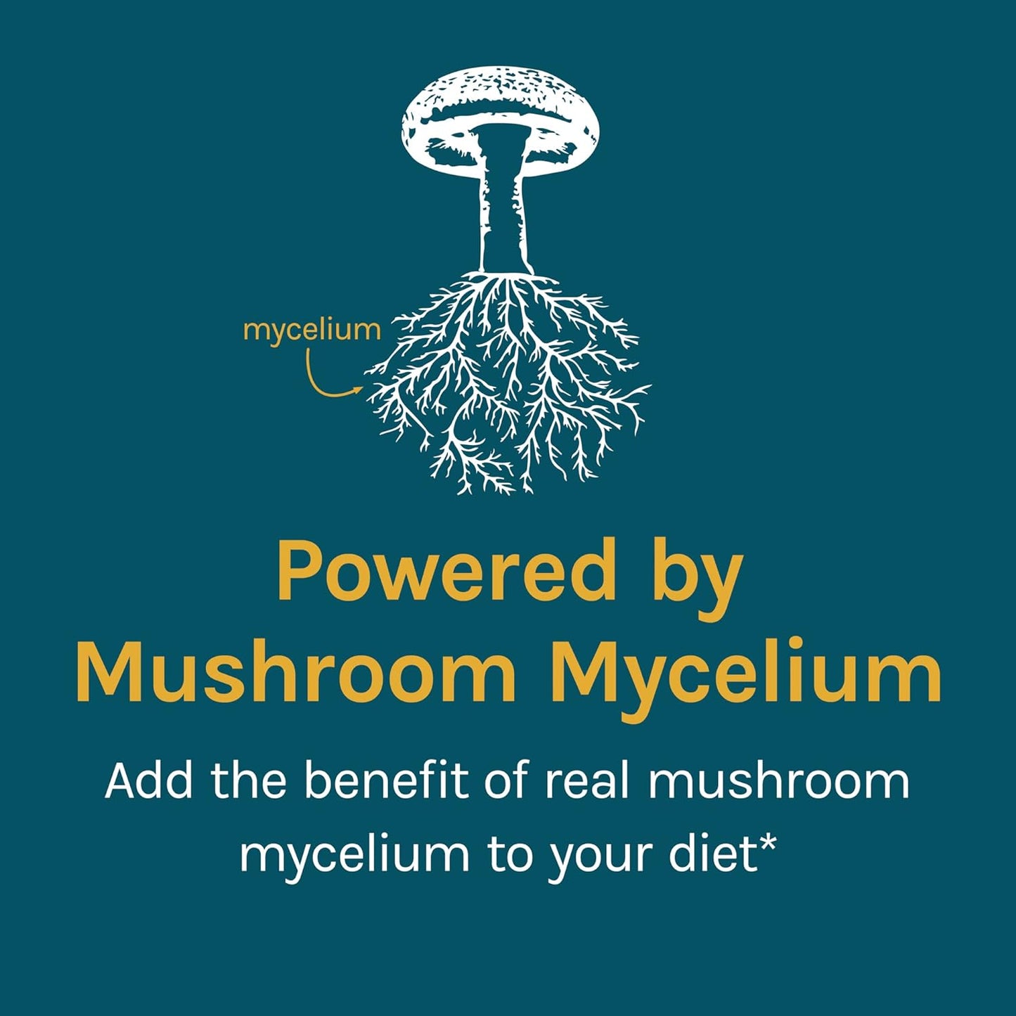 Host Defense mushrooms, Reishi 60 Capsules