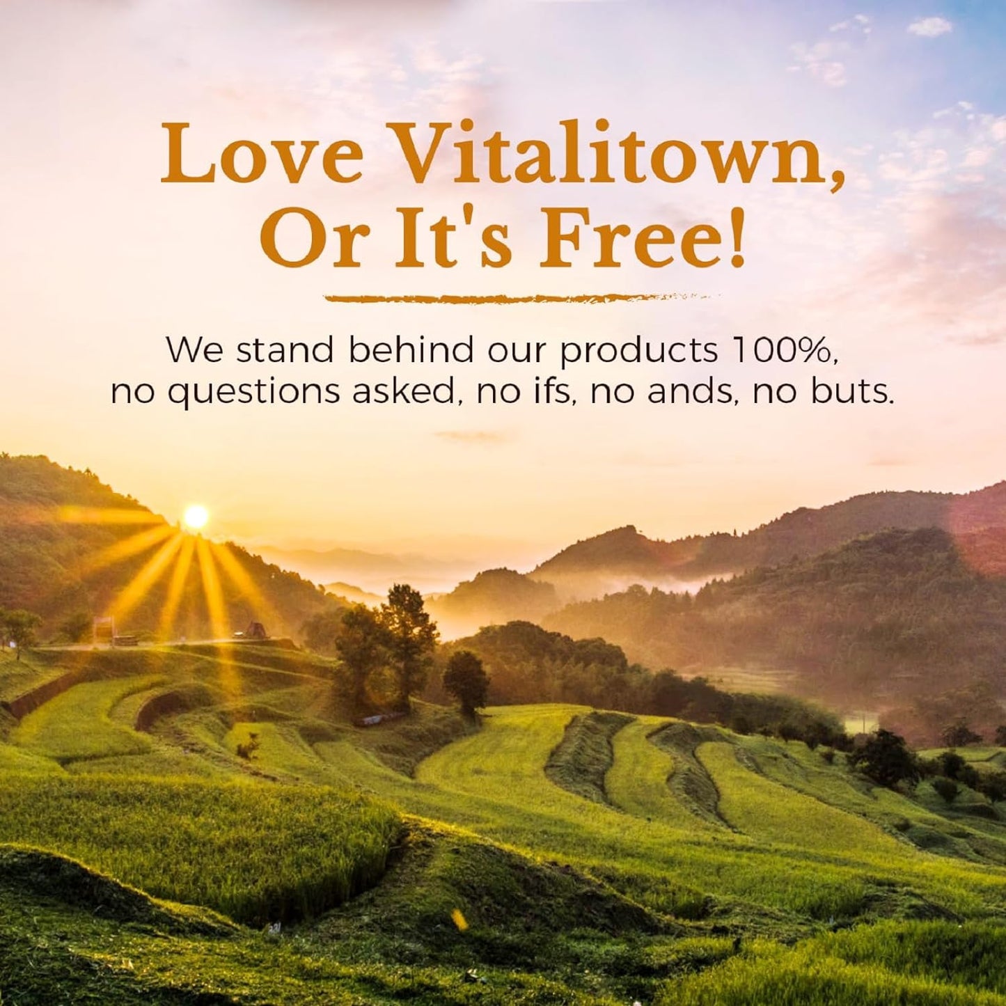 VITALITOWN Probiotics + Prebiotics | 60 Billion CFUs 19 Strains | 60 Delayed Release Veg Caps