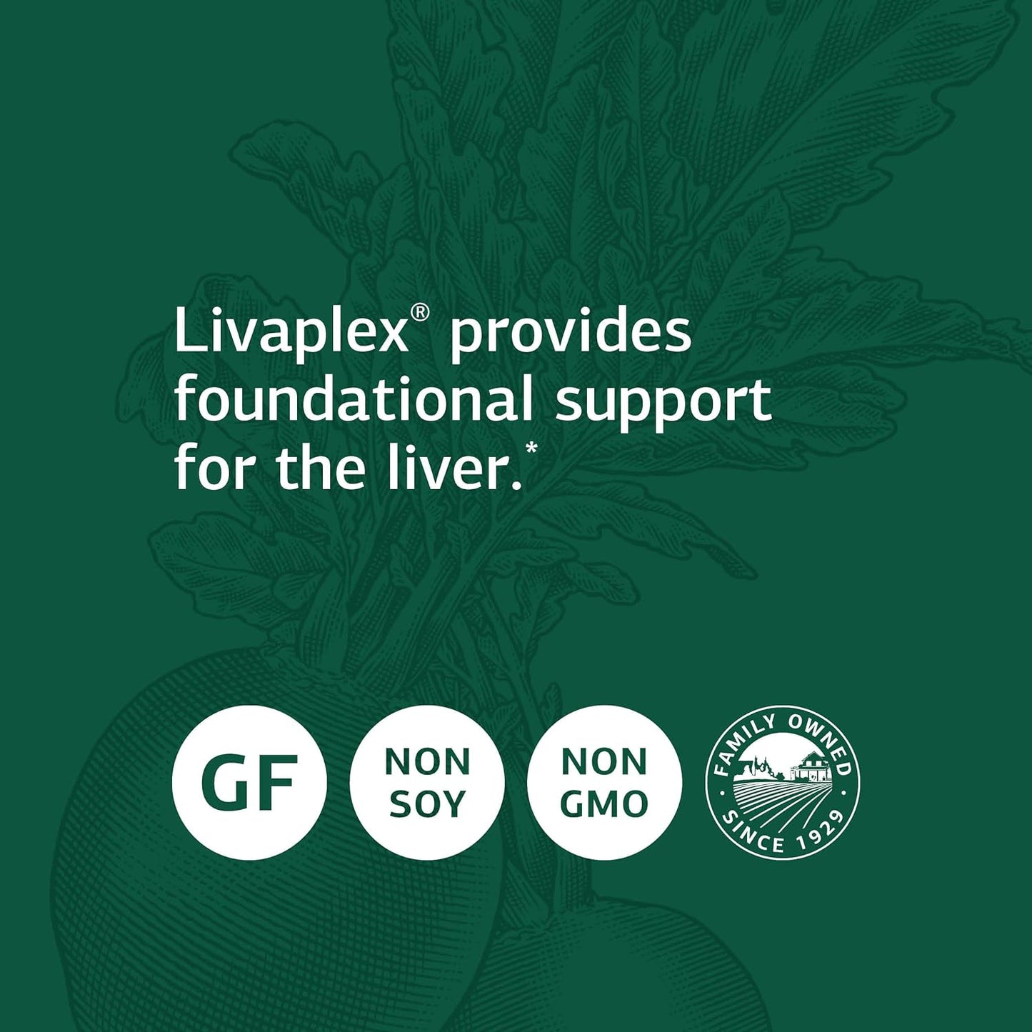 Standard Process Livaplex - Liver Health Support Supplement- 90 Capsules