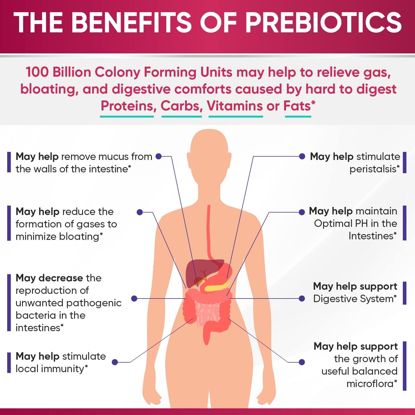 Dr. Formulated Raw Probiotics for Women 100 Billion CFUs