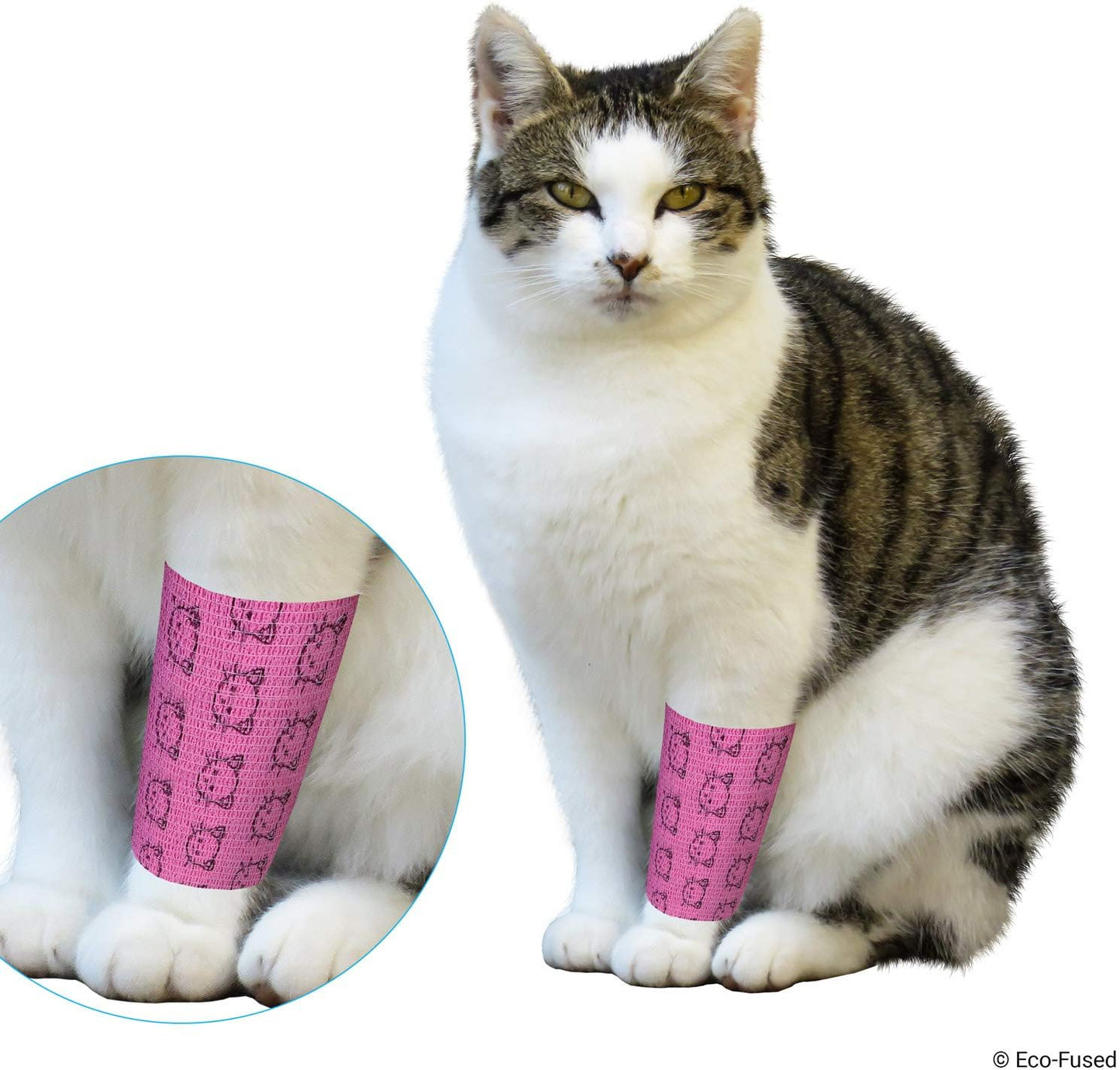 Eco-Fused Self Adhering Bandage - Injury Wrap Tape for Cats - Pack of 6