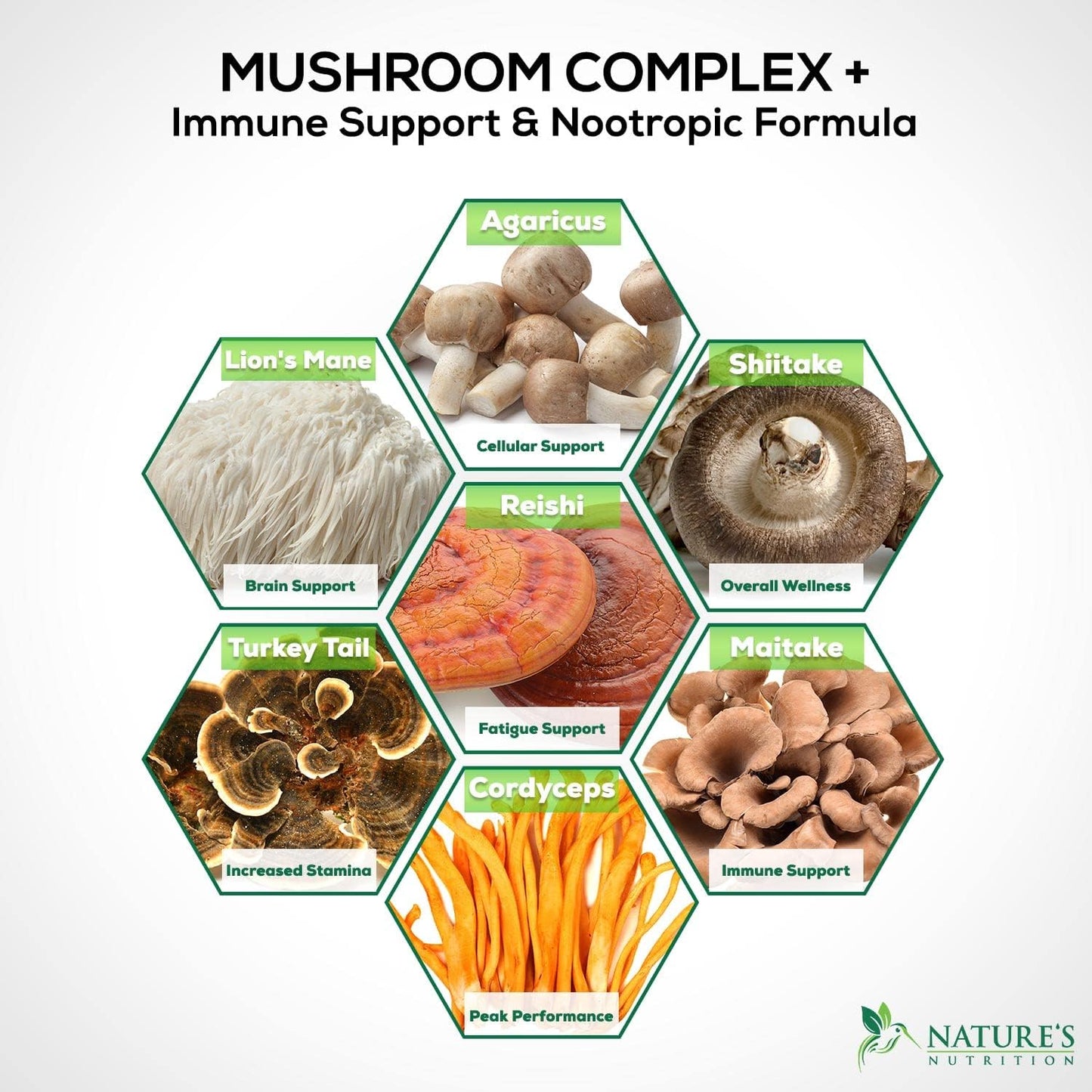 Mushroom Supplement - 10 Mushroom Complex Blend  - 60 Count