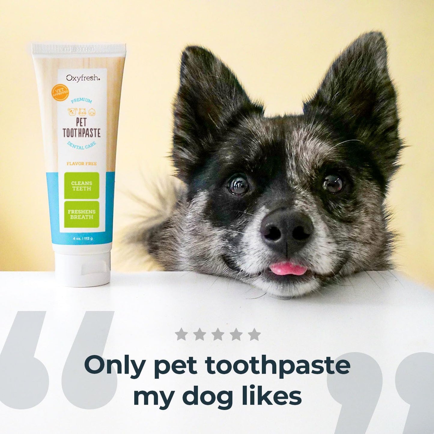 Oxyfresh Premium Dog Toothpaste and Toothbrush(4oz )