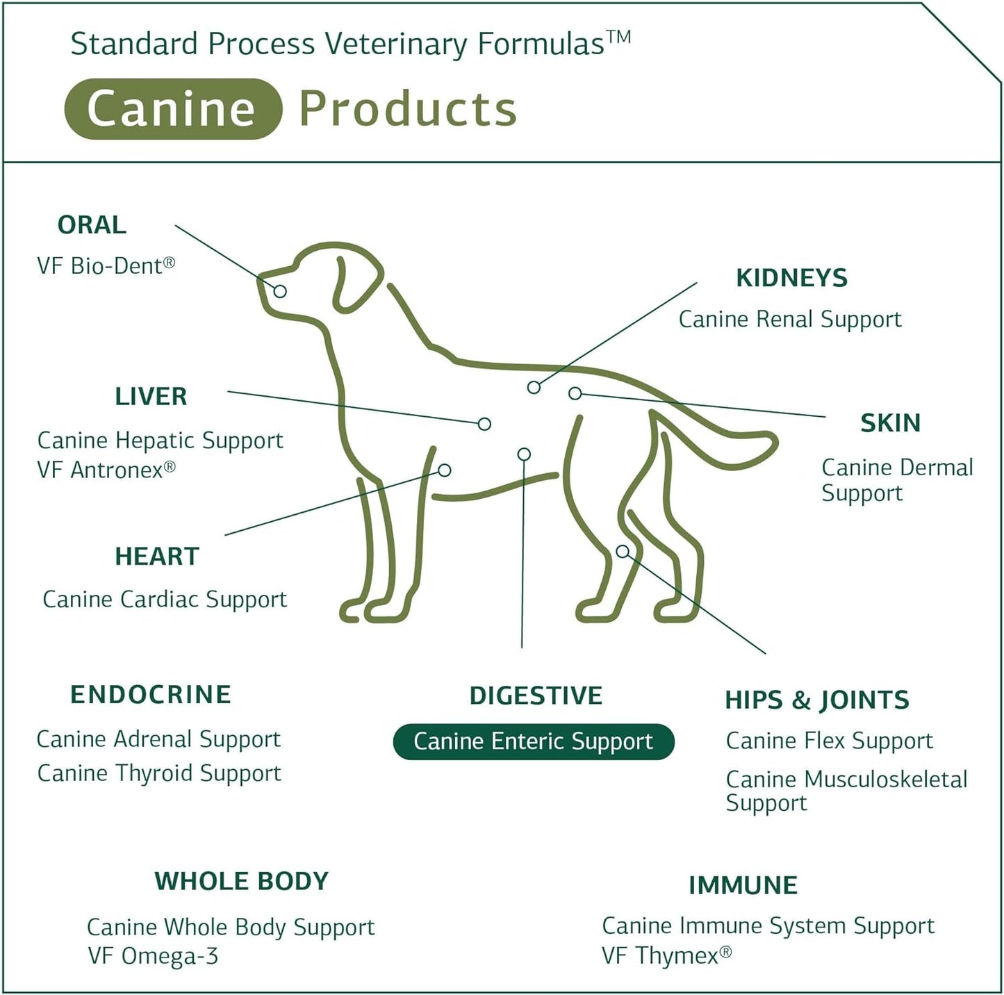 Standard Process - Canine Enteric Support - 30 Grams