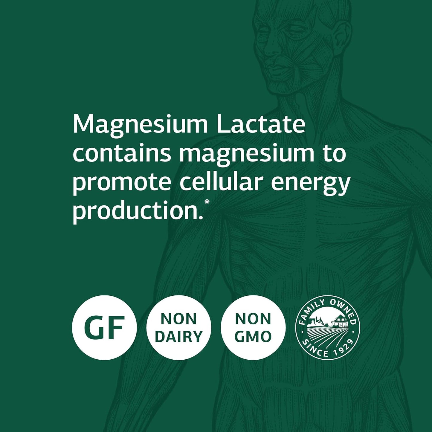 Standard Process Magnesium Lactate -90 Capsules