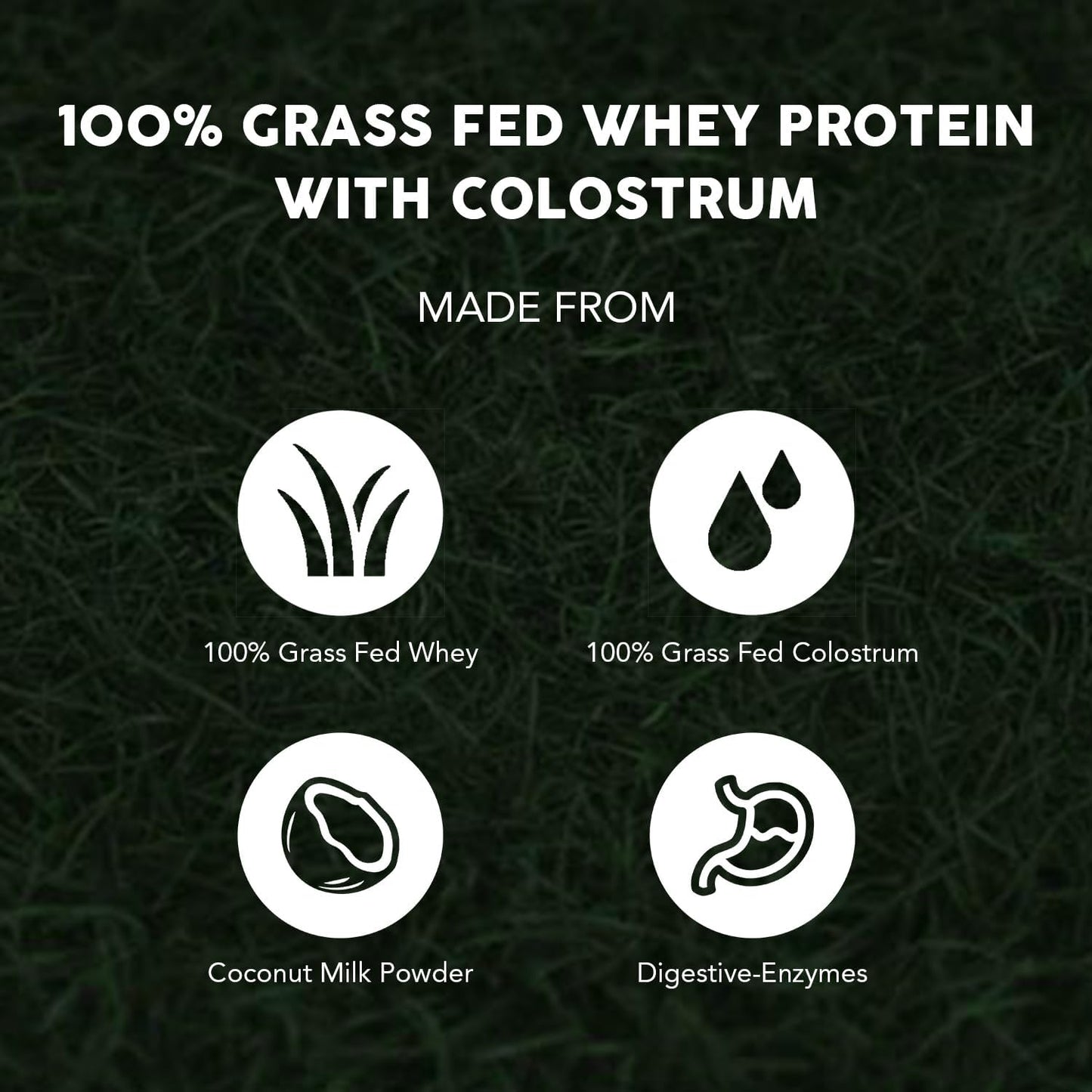 Paleovalley 100% Grass Fed Whey Protein