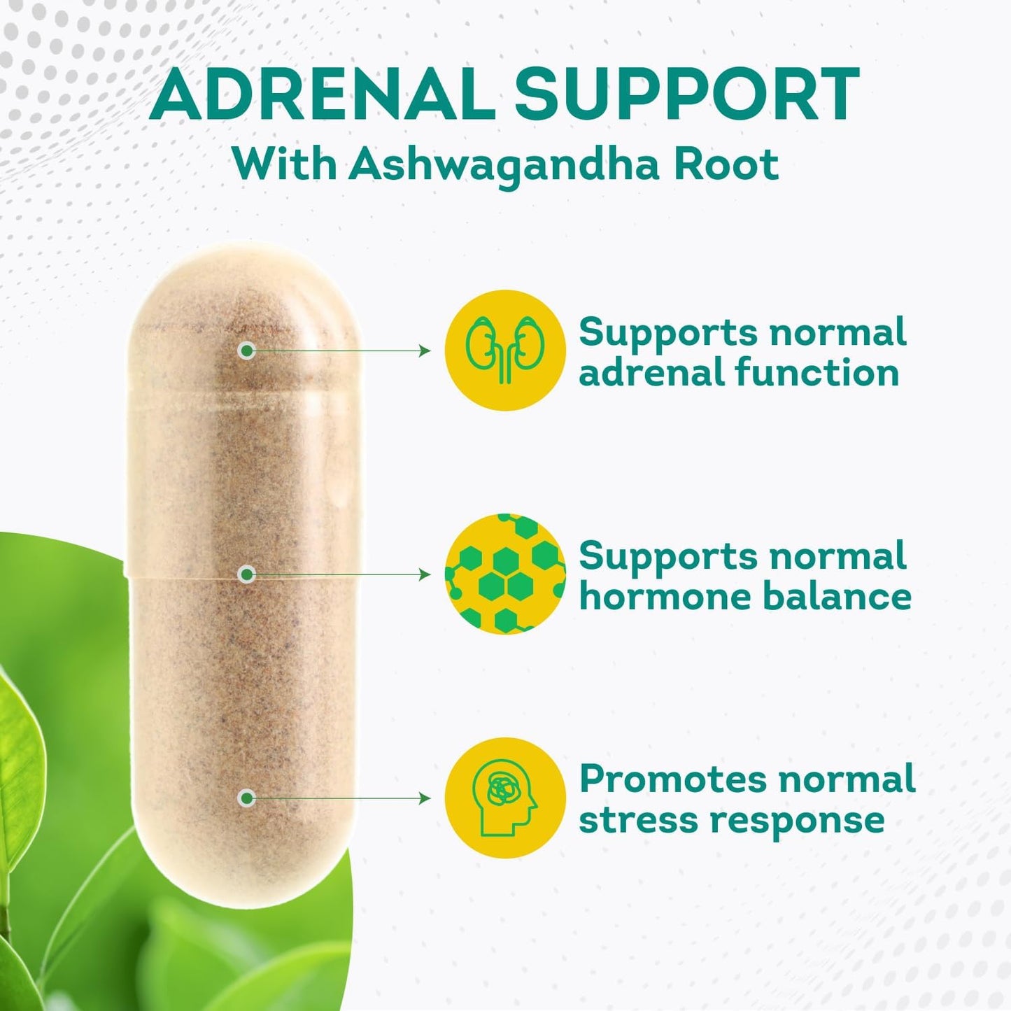 PurePremium Adrenal Support Supplements with Ashwagandha Root Extract  - 60 Capsules