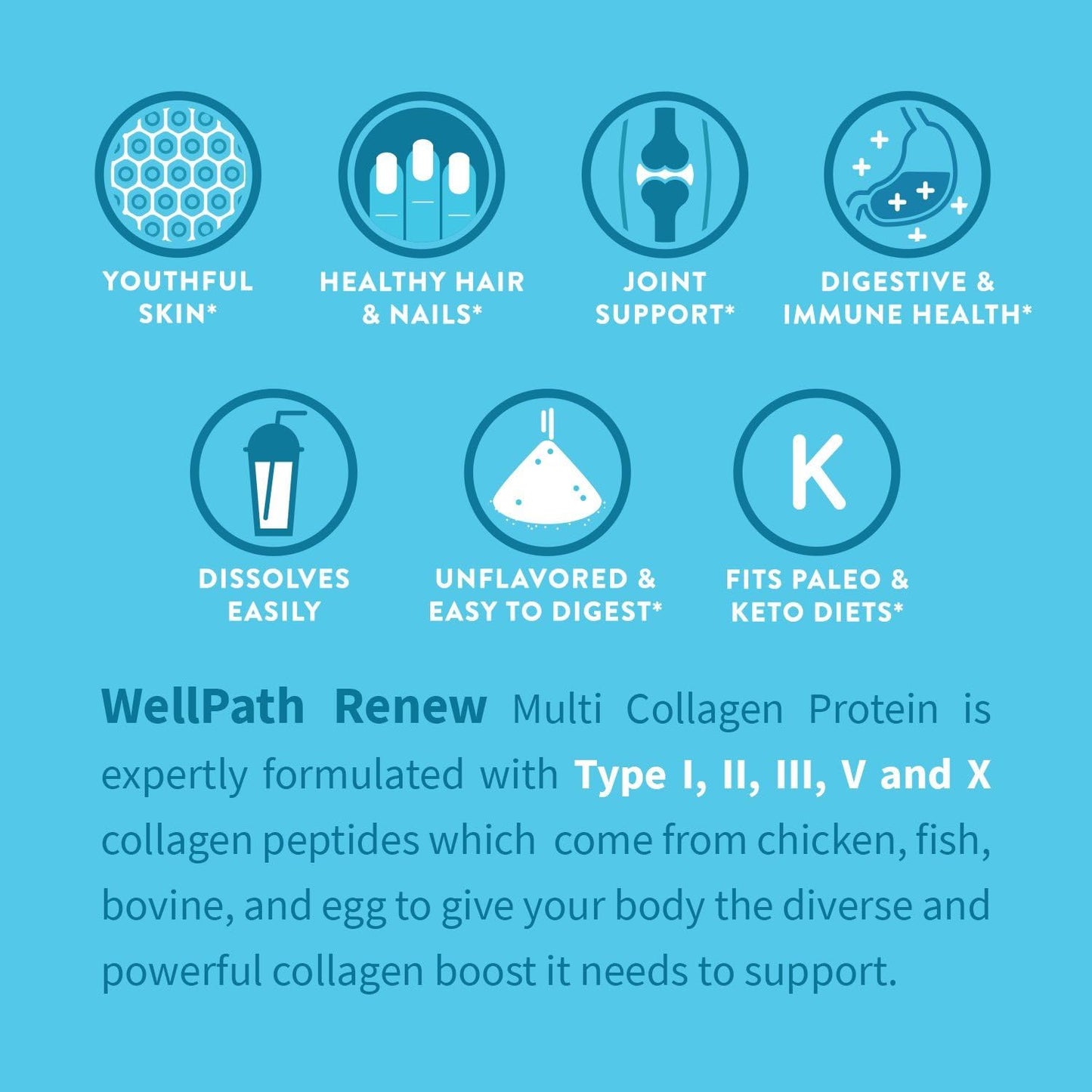 WellPath Renew Multi Collagen Protein Powder