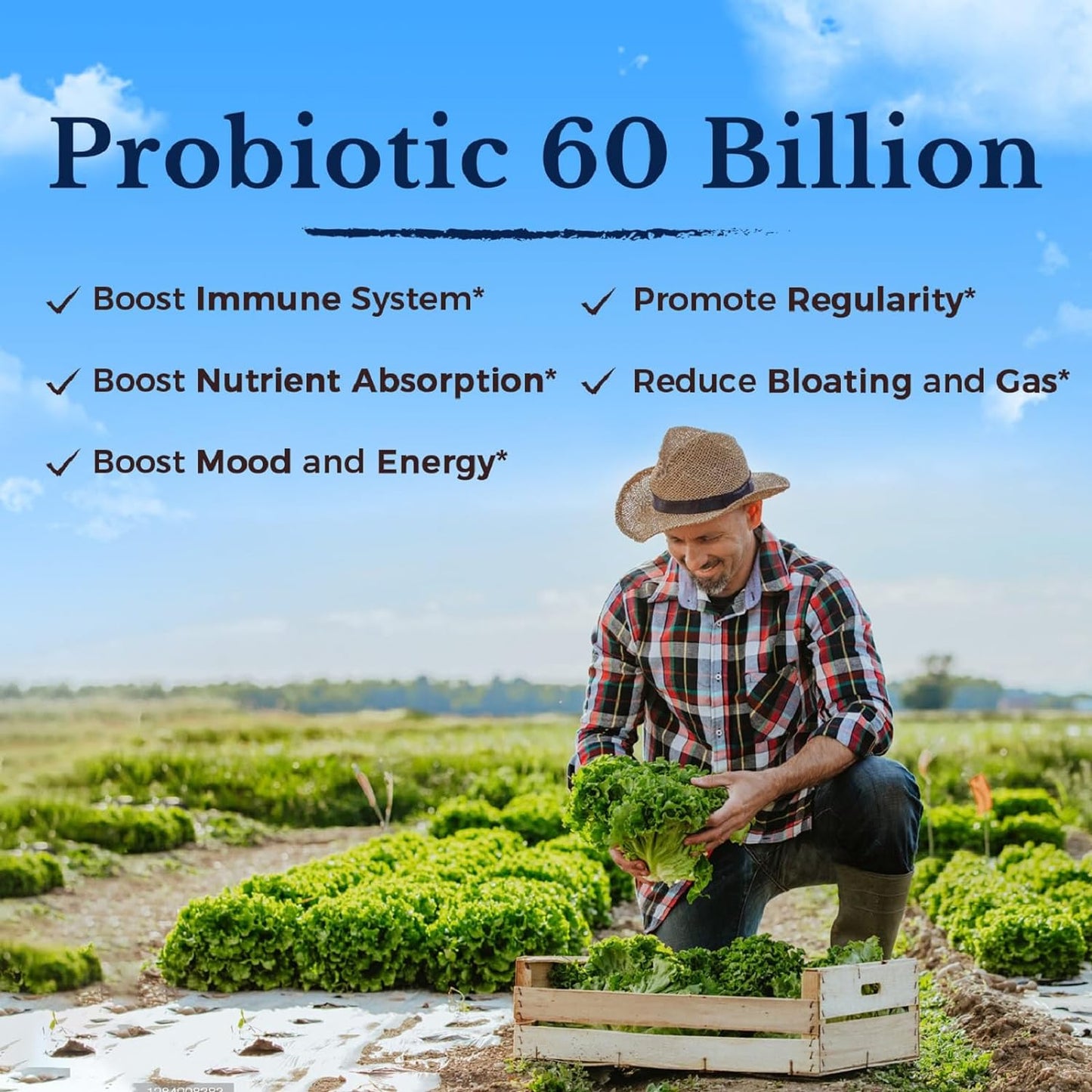 VITALITOWN Probiotics + Prebiotics | 60 Billion CFUs 19 Strains | 60 Delayed Release Veg Caps