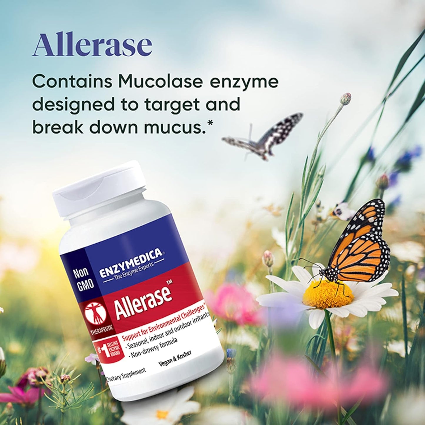 Enzymedica, Allerase, Non-Drowsy Enzyme Supplement 60 count