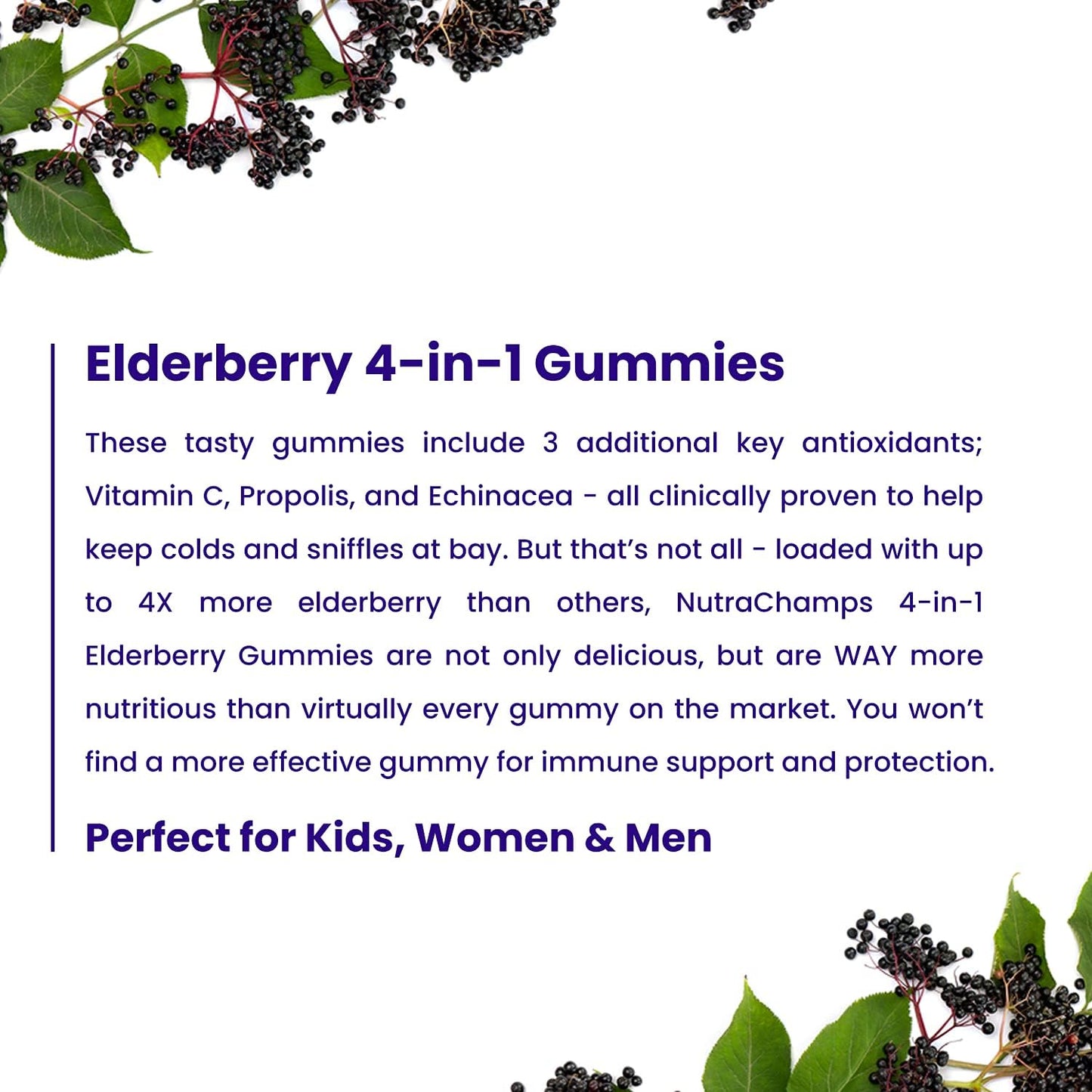 NutraChamps Elderberry Gummies with Vitamin C, Propolis & Echinacea - 60 count