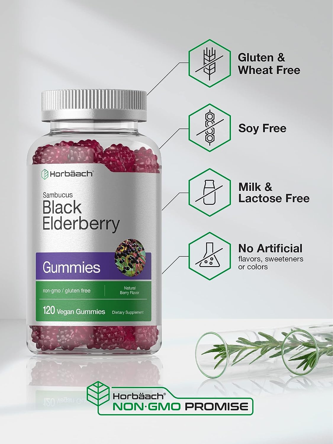 Sambucus Black Elderberry Gummies 120 Count