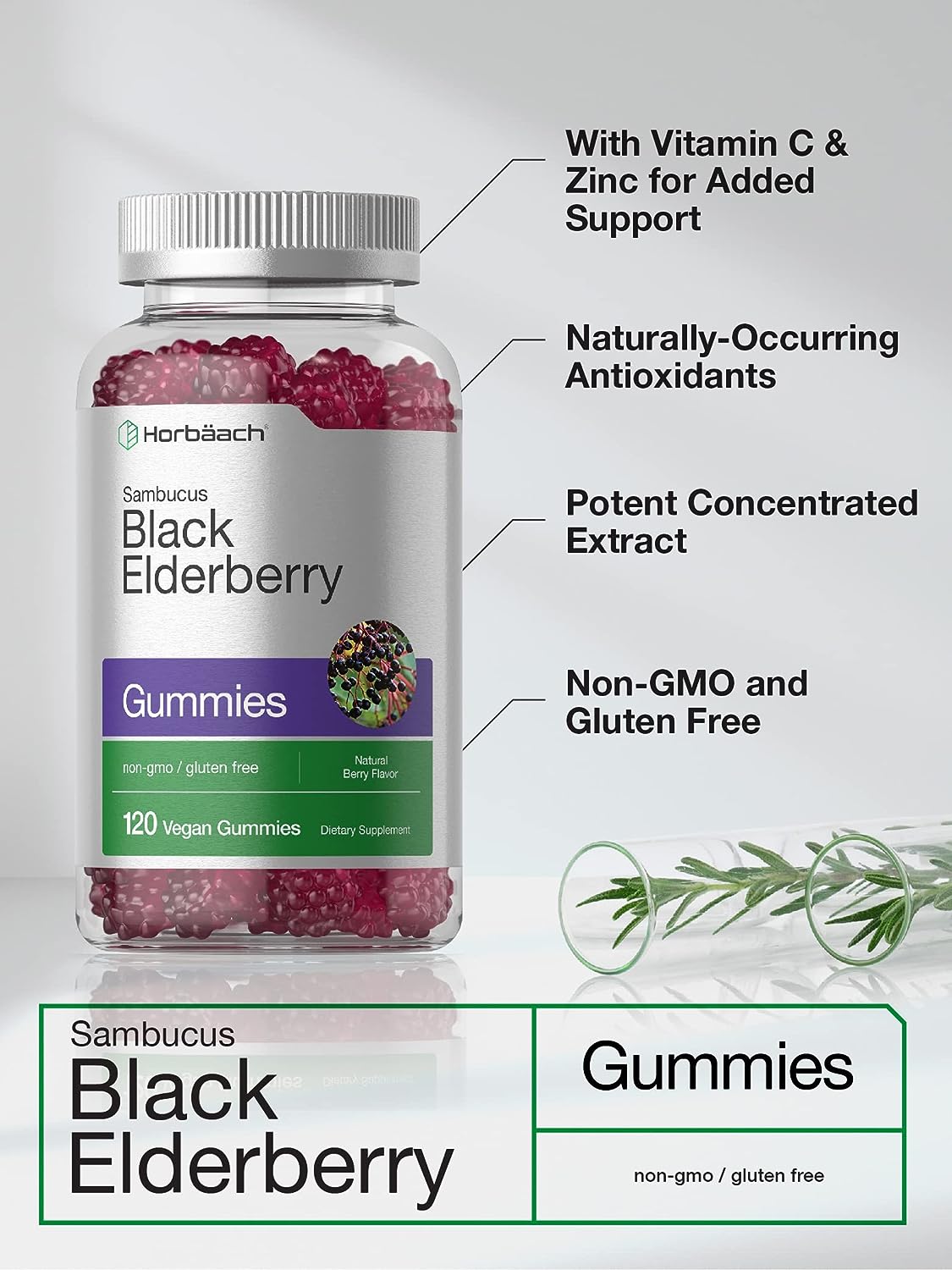 Sambucus Black Elderberry Gummies 120 Count