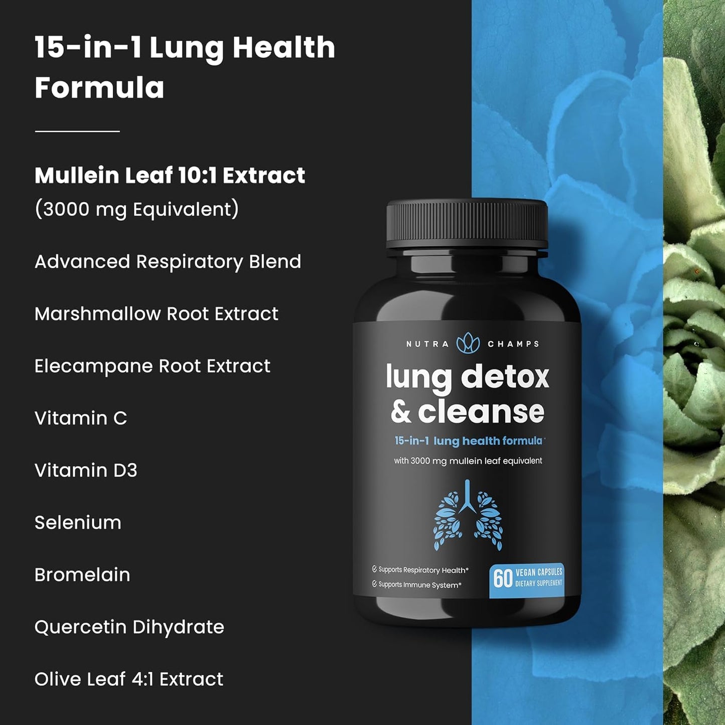 Lung Detox & Cleanse | Mullein Leaf Capsules  60 count