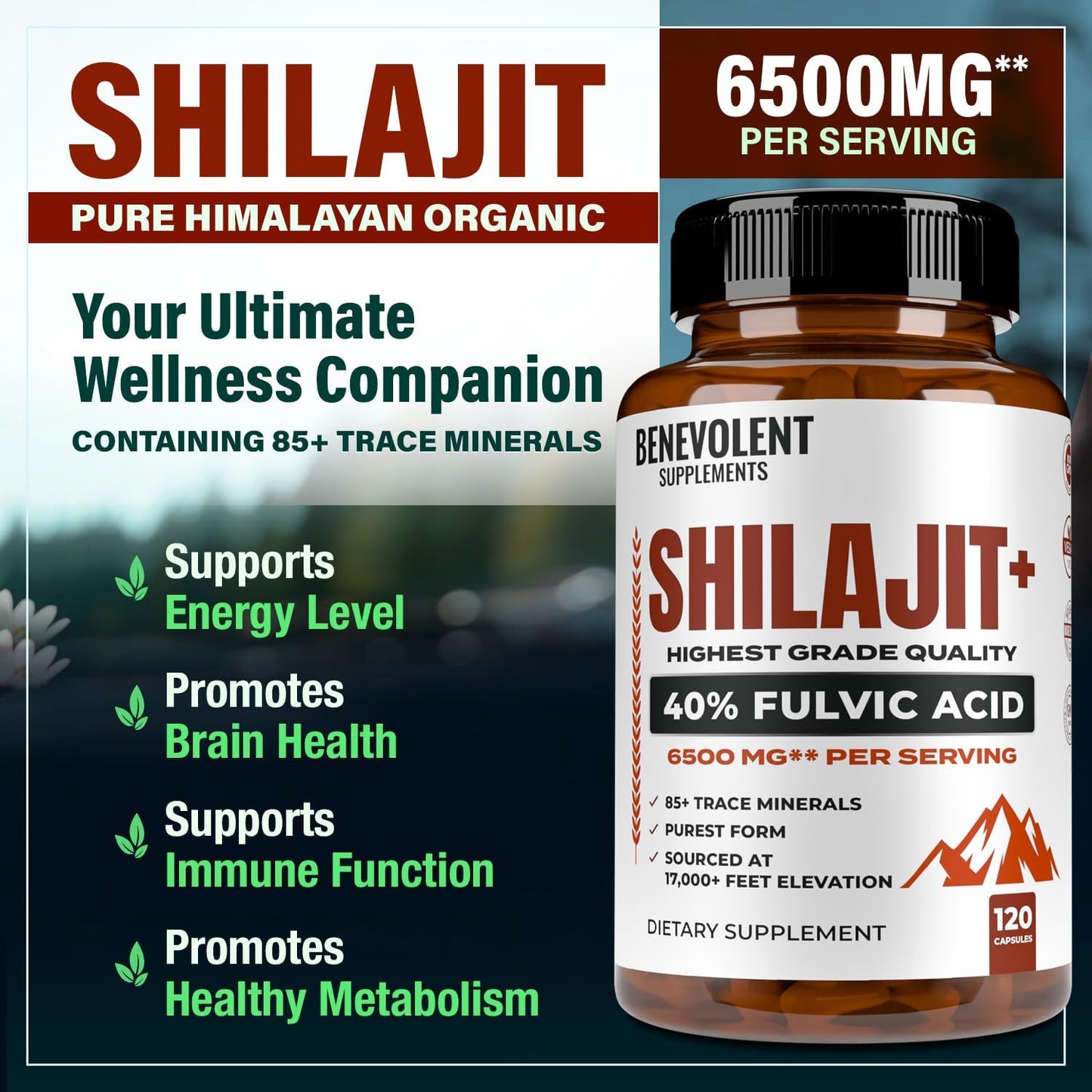 6,500mg Shilajit Supplement with 40% Fulvic Acid (High Absorption)- 120 Capsules