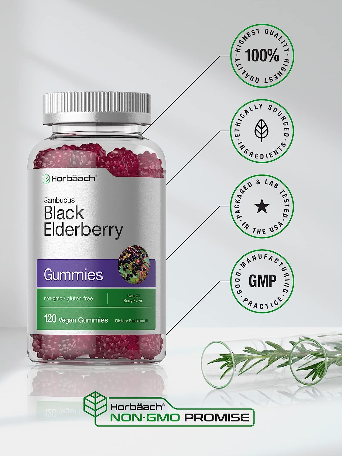 Sambucus Black Elderberry Gummies 120 Count