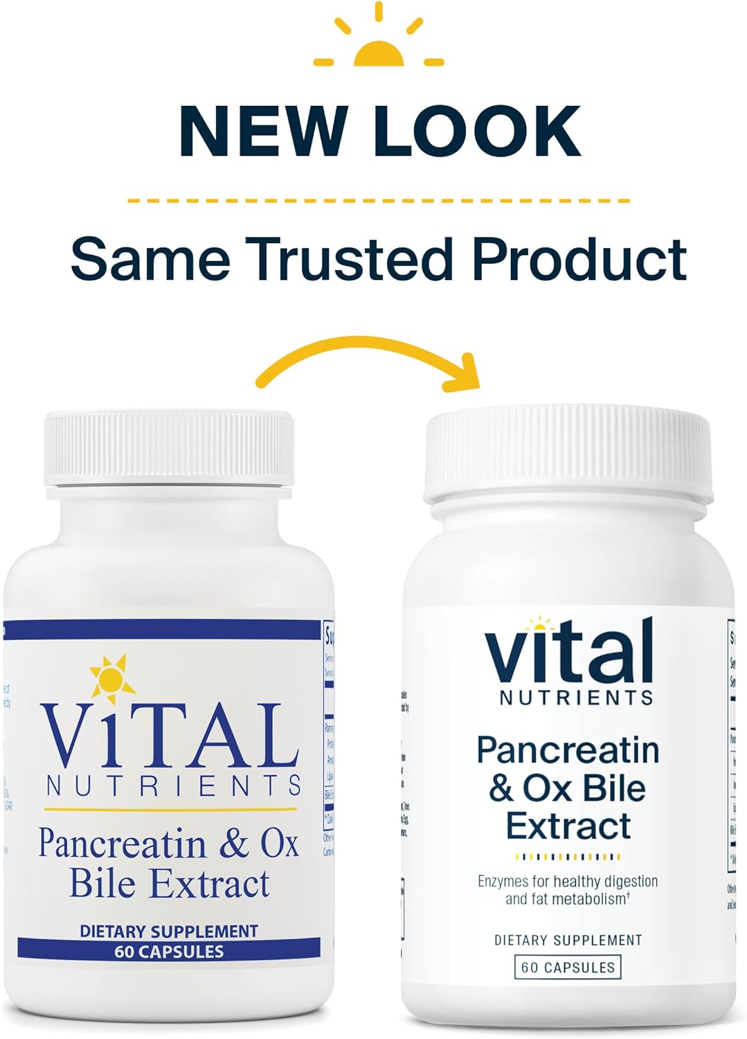 Vital Nutrients Pancreatin and Ox Bile Extract 60 Capsules