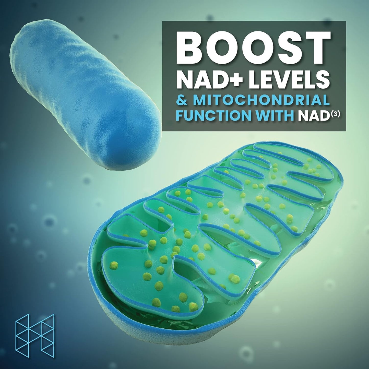 HPN NAD+ Booster (NAD3), Anti Aging Cell Booster, 60 caps