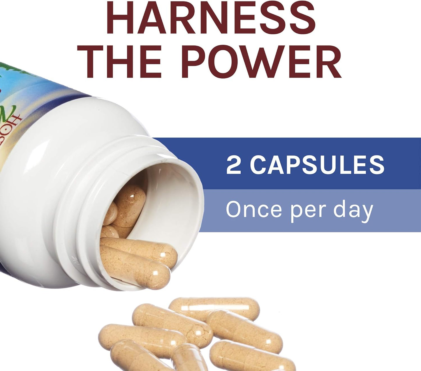 Host Defense, Stamets 7 , 60 Capsules