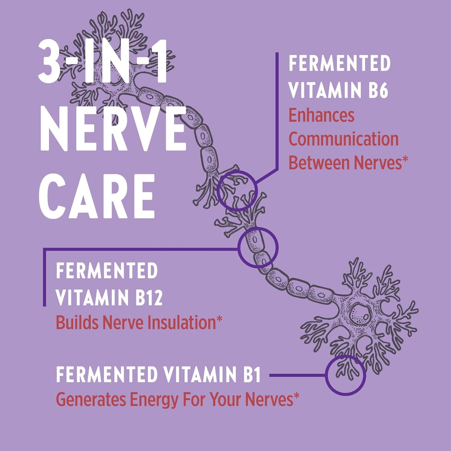 New Chapter Nerve Health Supplement for 3-in-1 Nerve Support 30  count