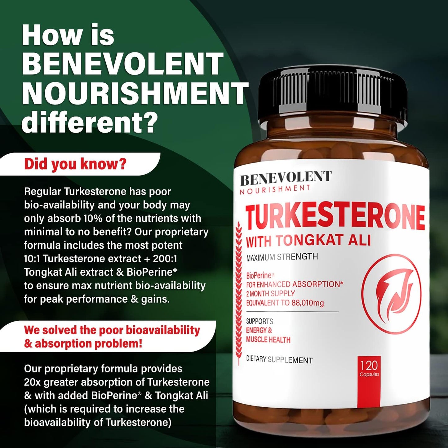 Turkesterone 8,000mg [Highest Purity] + BioPerine® for High Absorption Supplement - 120 capsules