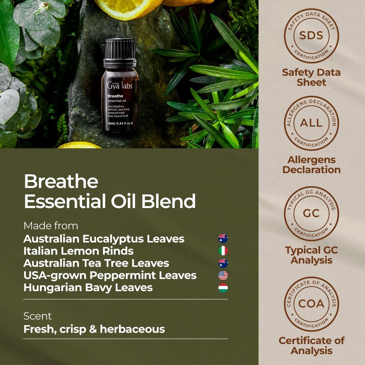 Gya Labs Breathe Essential Oil Blends