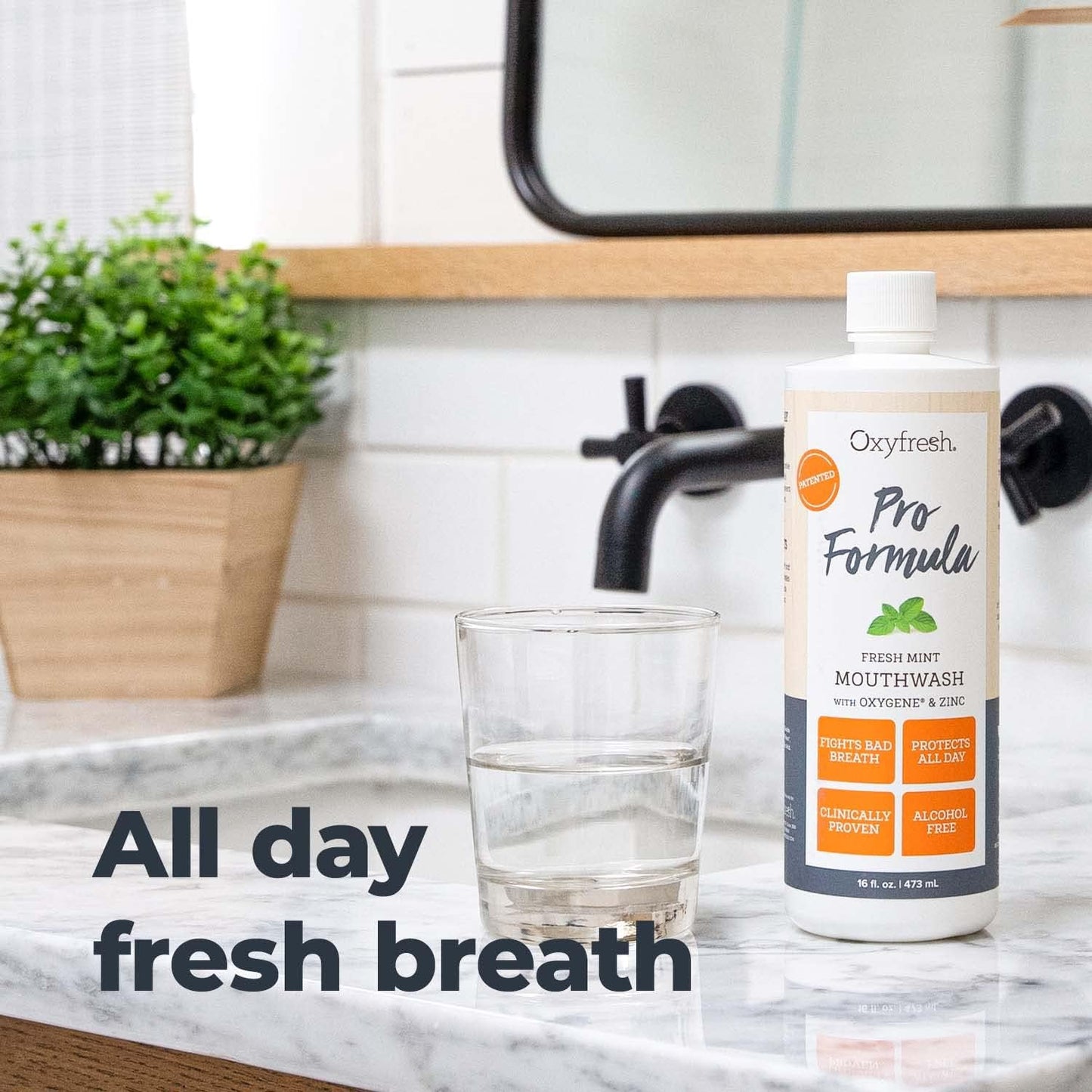 Premium Oxyfresh Pro Formula Fresh Mint Mouthwash – 16oz