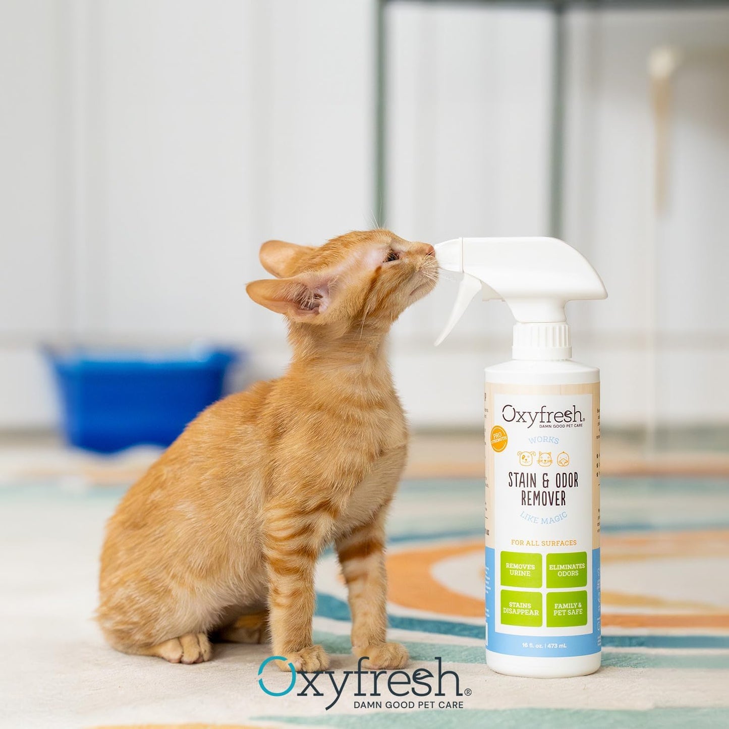 Oxyfresh Advanced Pet Stain Remover & Urine Odor Eliminator – for All Surfaces - Best Way to Remove Stains - Dog & Cat Urine Neutralizer