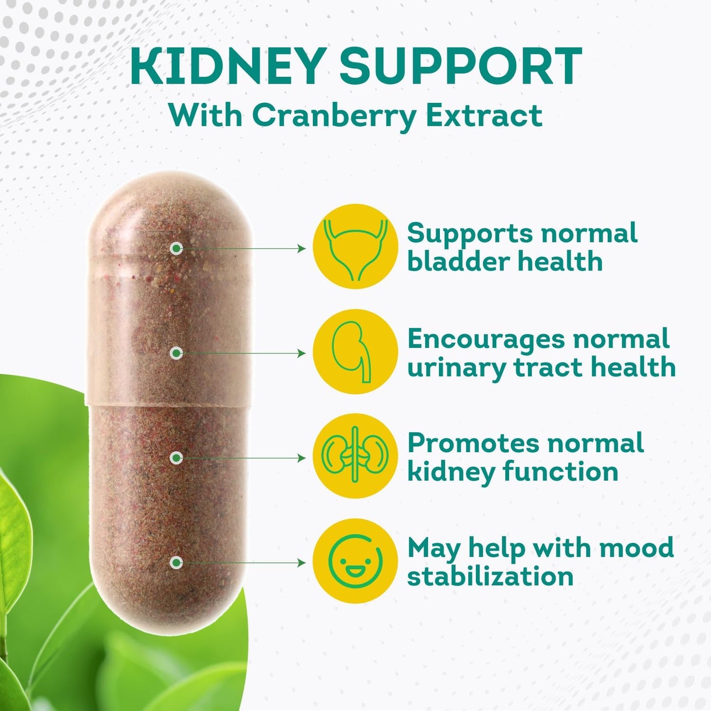 PurePremium Kidney Support Supplement with Cranberry Extract 60 Capsules