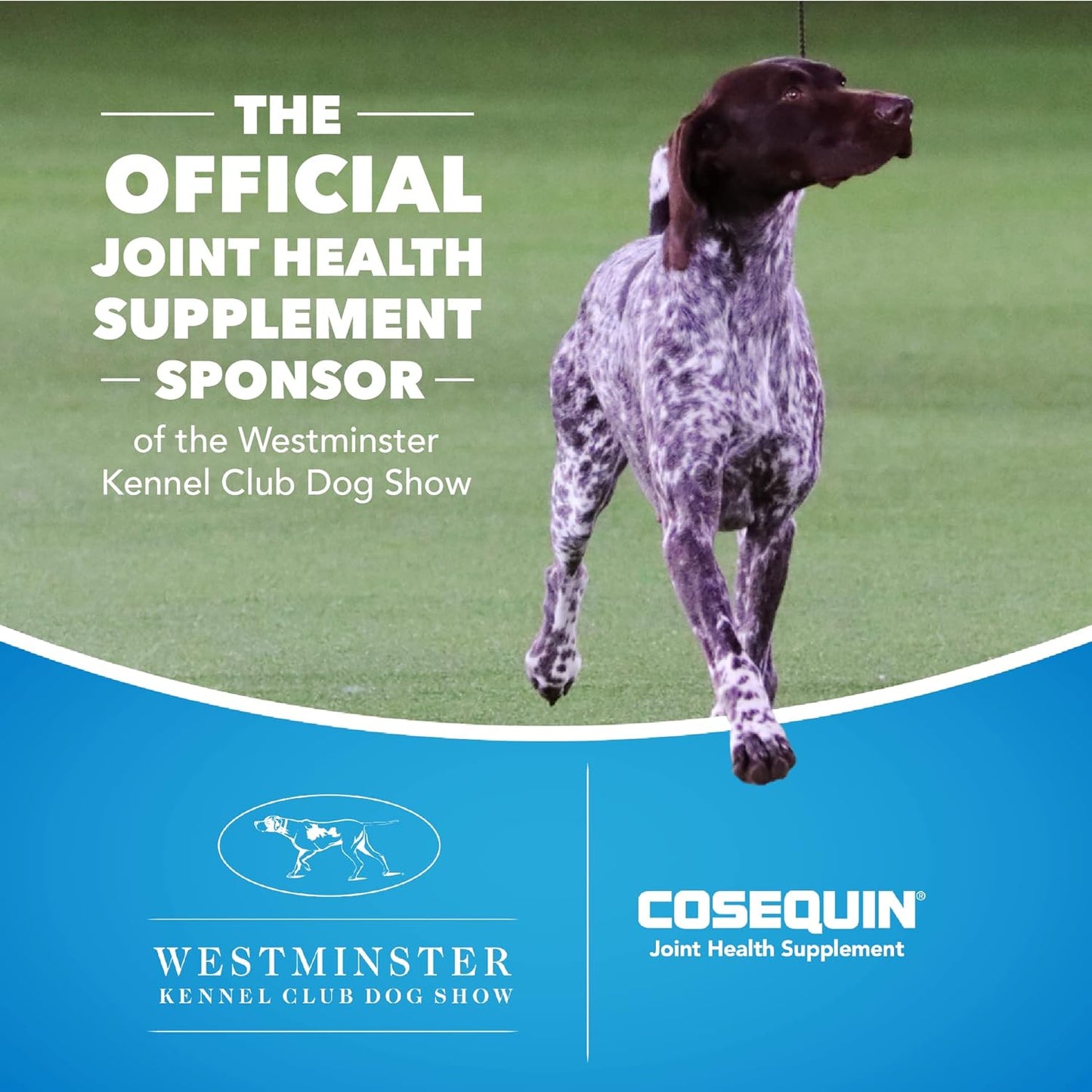 Cosequin Senior Joint Health Supplement for Senior Dogs -60 Soft Chews