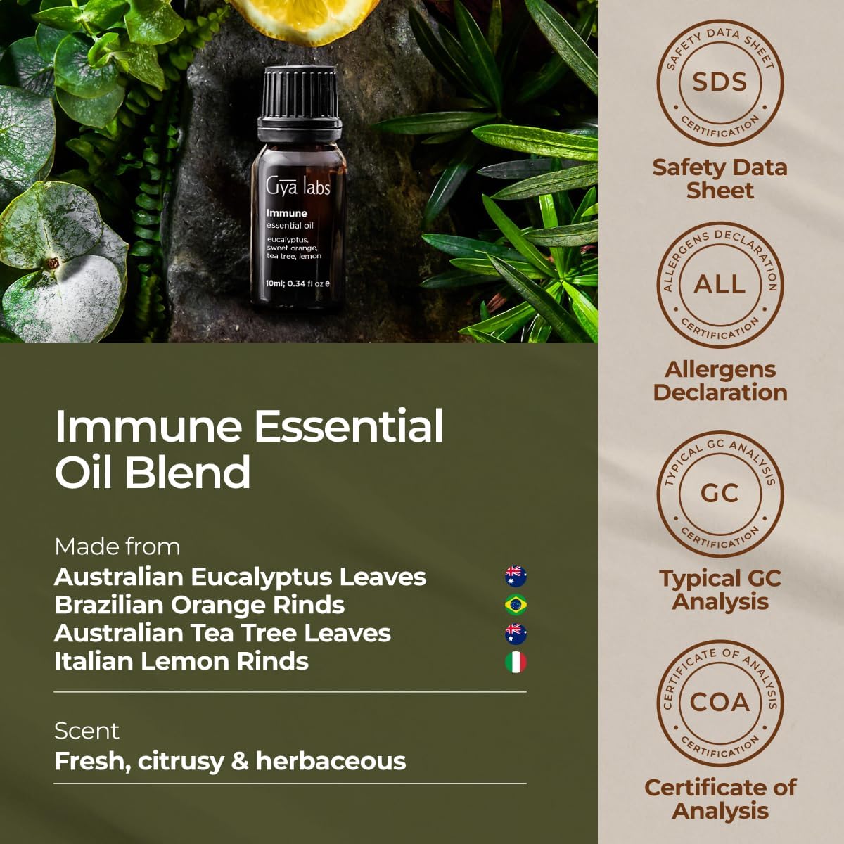 Gya Labs Immunity Essential Oil Blend - Thieves Oil