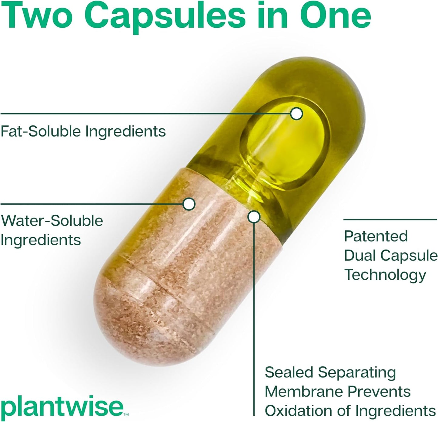 Plantwise Immune Prime Wellness Formula - 75 capsules